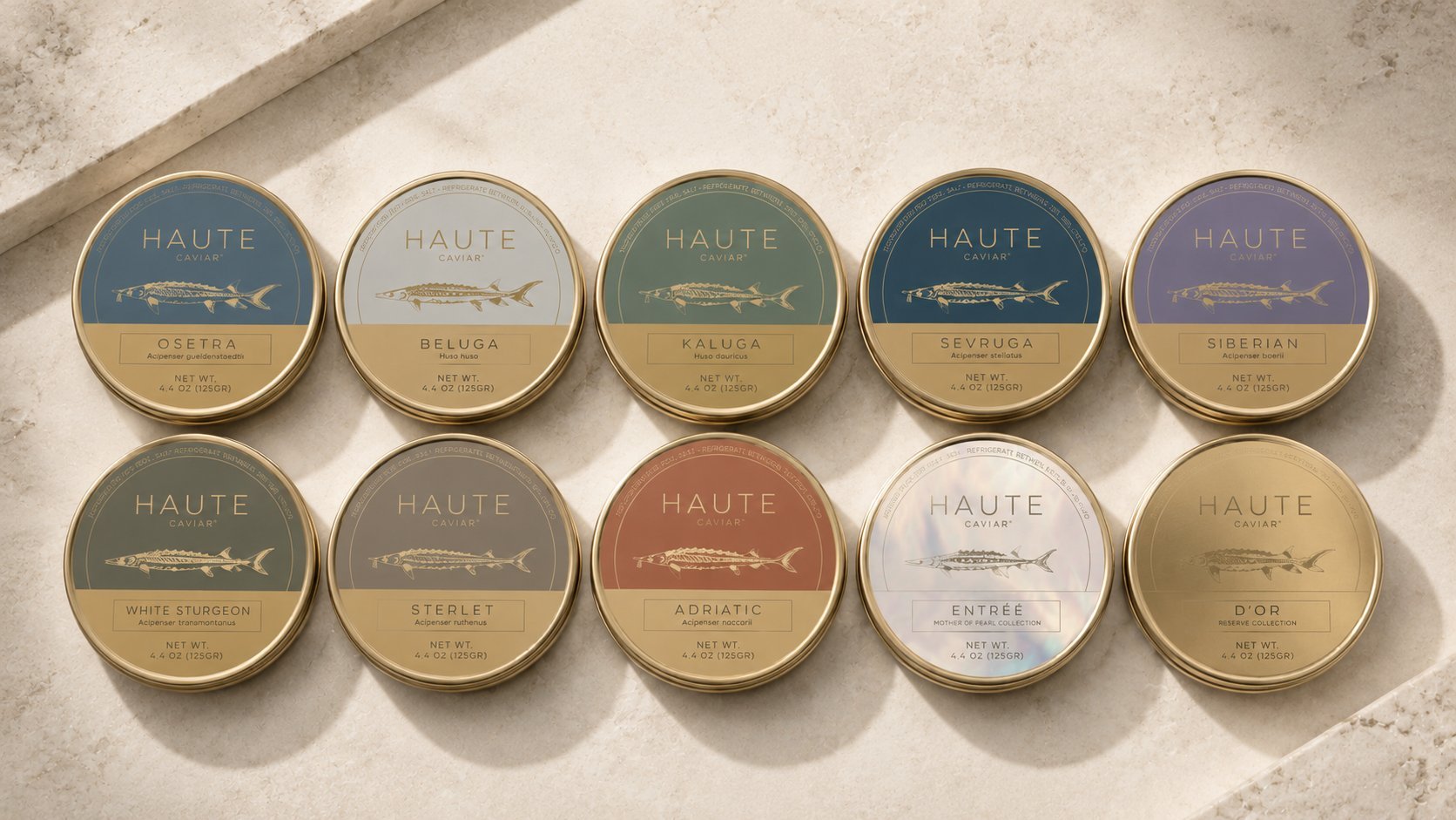 HAUTE